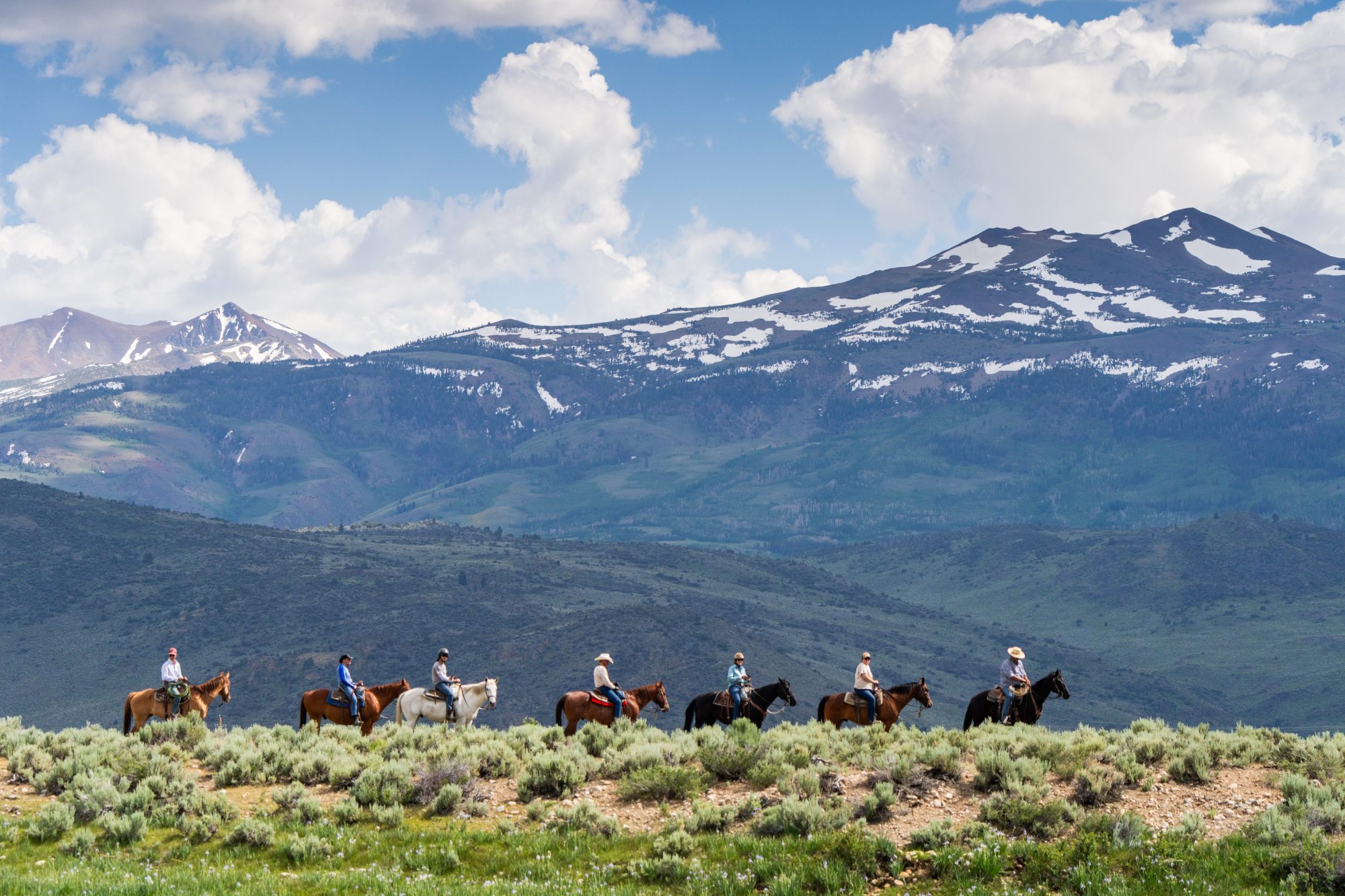 A group of women rides horses through the valley during the High Sierra Cowgirl Vacation at Hunewill Ranch in Bridgeport Valley in the eastern Sierra. (Photo by Will Carnahan/Hunewill Ranch)
